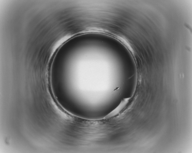 X0000099381003200805081442