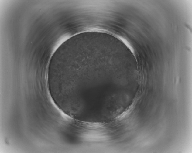 X0000099381007200805081442