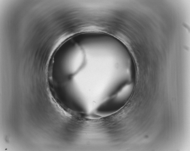 X0000099381008200805081442