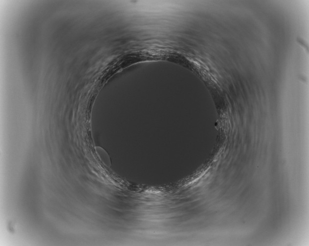 X0000099381009200805081441