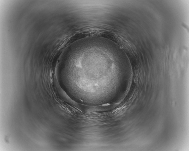 X0000099381010200805081441