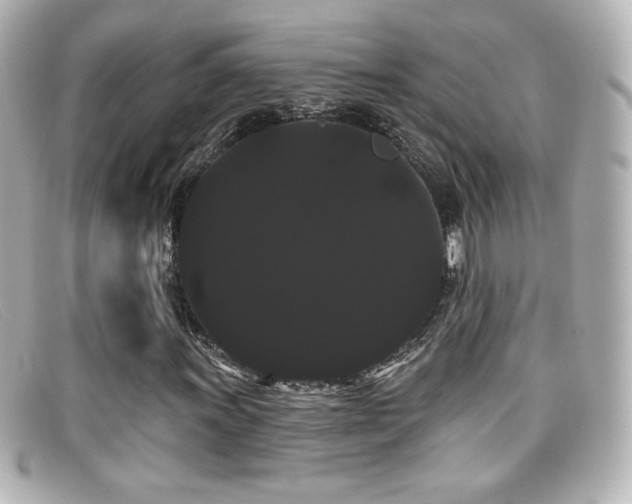 X0000099381011200805081441