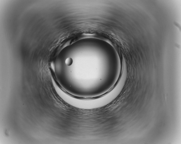 X0000099381012200805081441