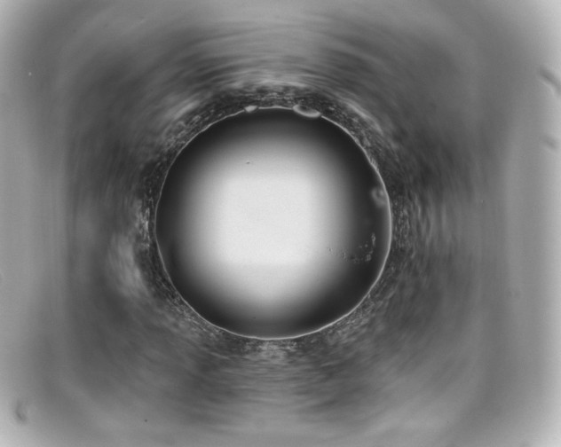 X0000099381013200805081441