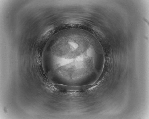 X0000099381014200805081441