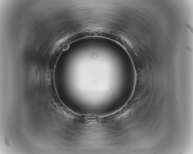 X0000099381016200805081441
