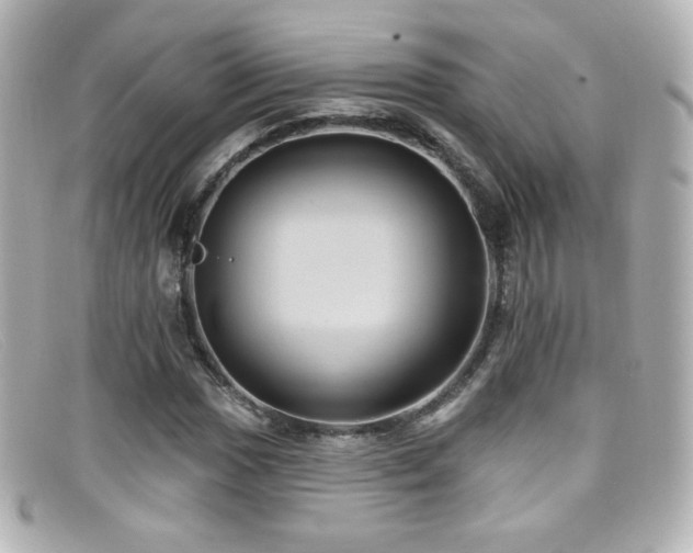 X0000099381017200805081441