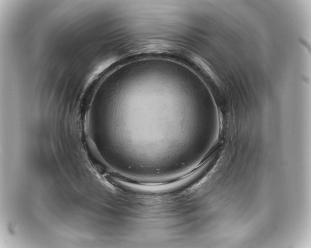 X0000099381018200805081441