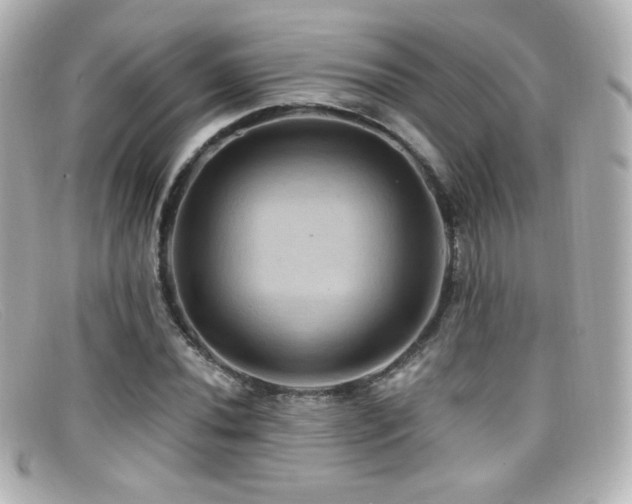 X0000099381020200805081441