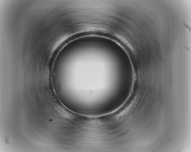 X0000099381021200805081441