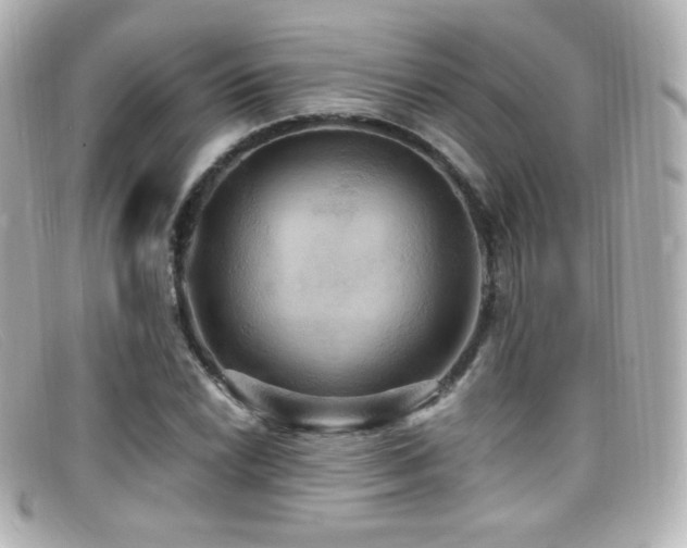 X0000099381022200805081441