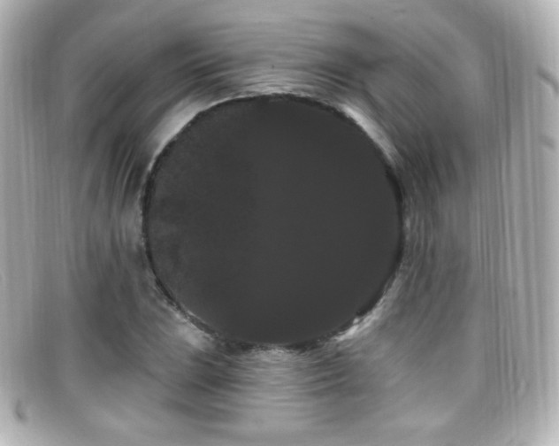 X0000099381023200805081441