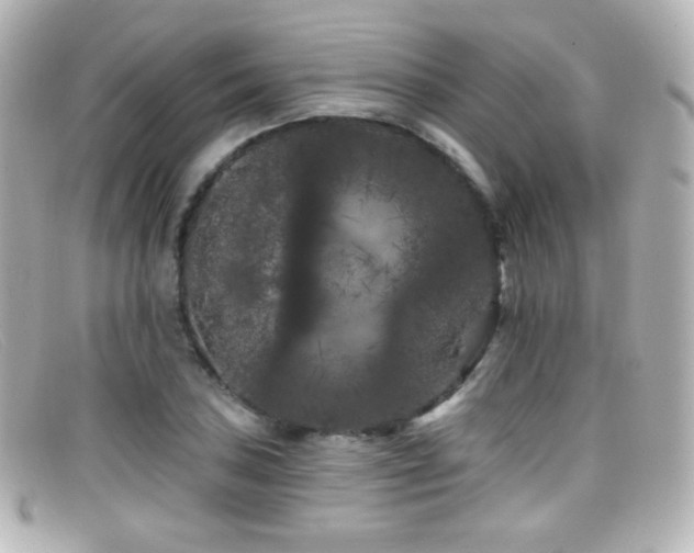 X0000099381027200805081441