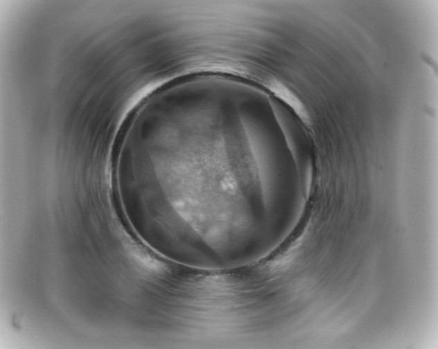 X0000099381028200805081441