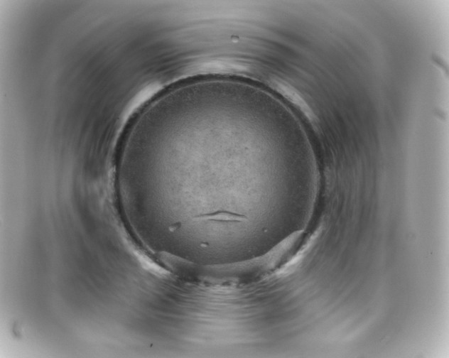 X0000099381029200805081441
