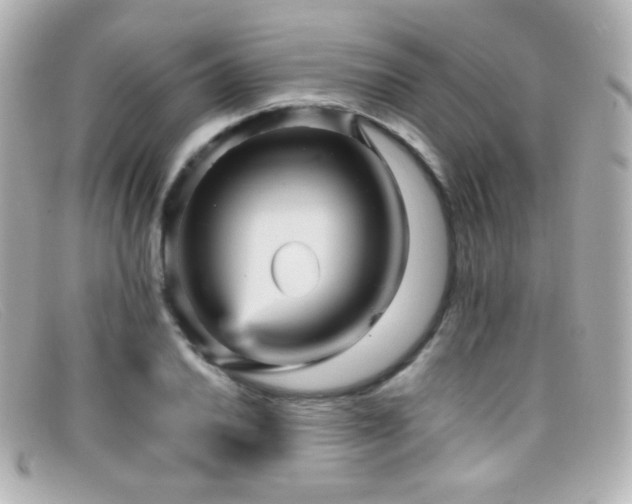 X0000099381030200805081441