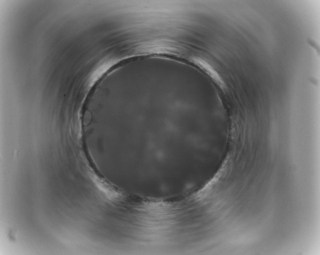 X0000099381031200805081441