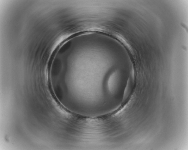 X0000099381032200805081441
