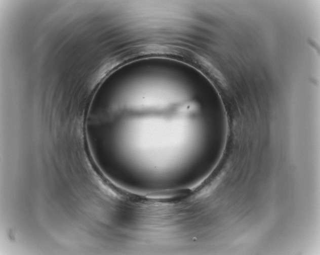 X0000099381033200805081441