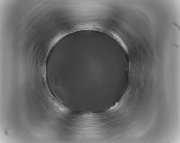 X0000099381035200805081441
