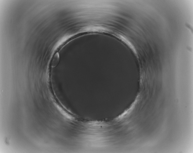 X0000099381037200805081441