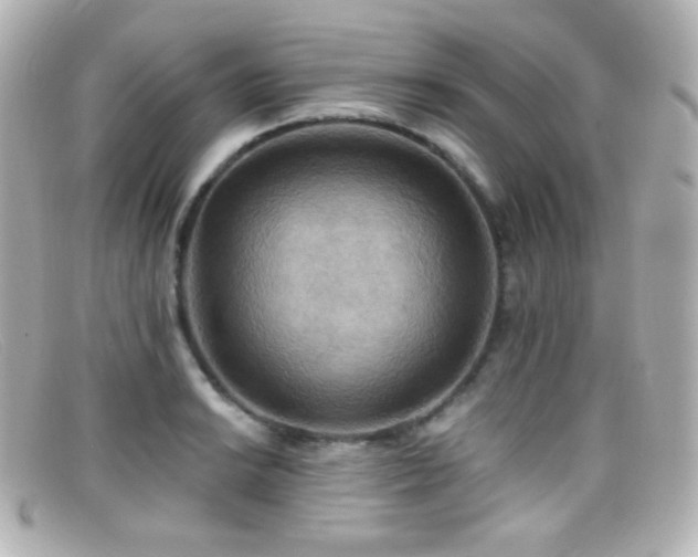 X0000099381038200805081441