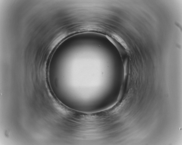 X0000099381039200805081441
