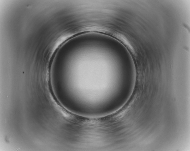X0000099381040200805081441