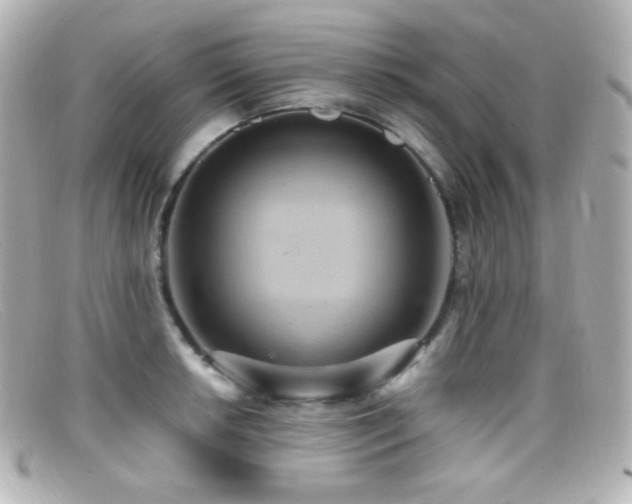 X0000099381042200805081441