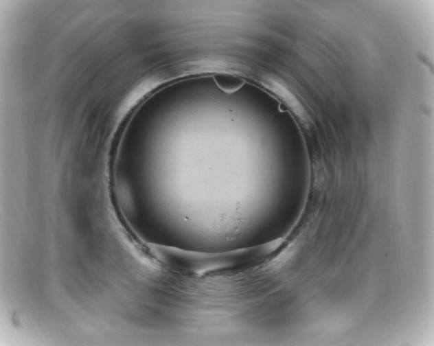 X0000099381043200805081441
