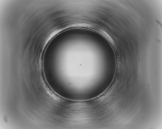 X0000099381044200805081441