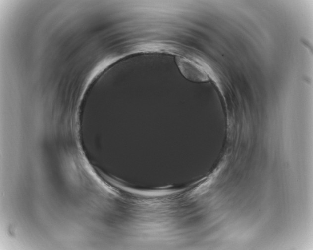 X0000099381045200805081441