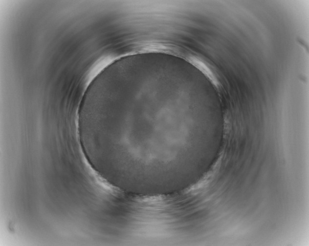 X0000099381047200805081441