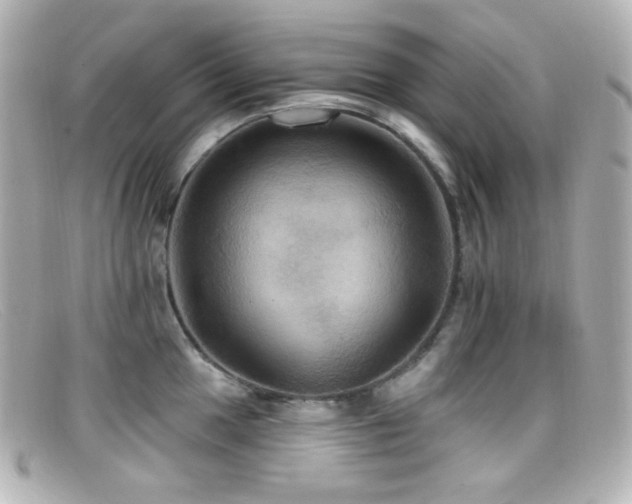 X0000099381049200805081441