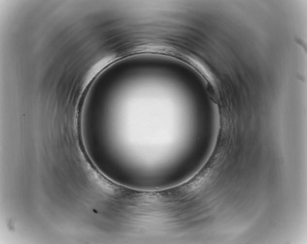 X0000099381050200805081441
