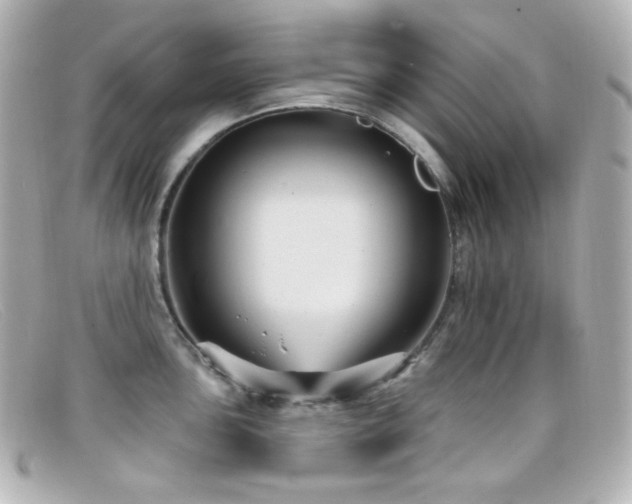 X0000099381051200805081441