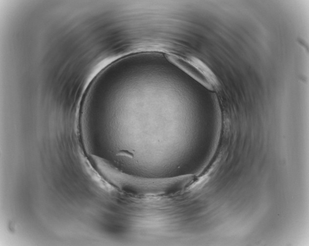 X0000099381052200805081441