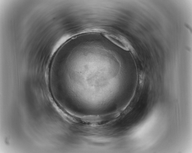 X0000099381054200805081441