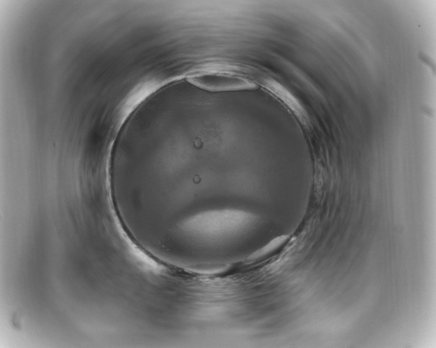 X0000099381055200805081442