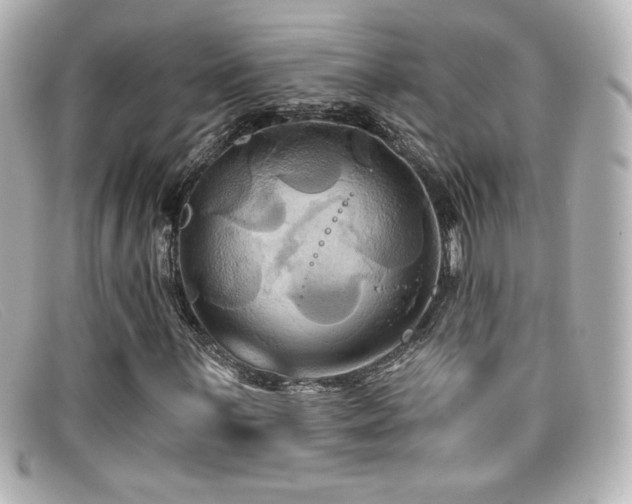 X0000099381059200805081441
