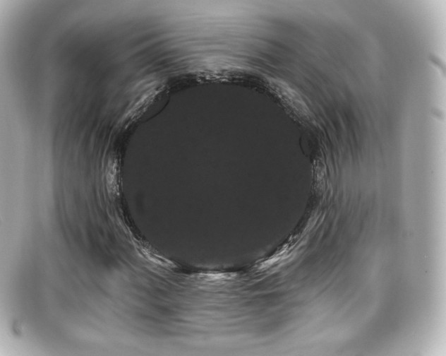 X0000099381060200805081441