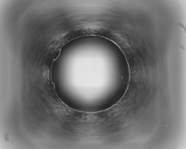 X0000099381061200805081441