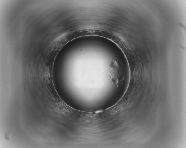 X0000099381062200805081441