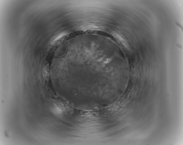 X0000099381063200805081441