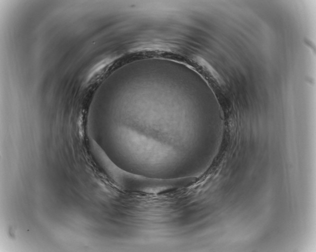 X0000099381064200805081441