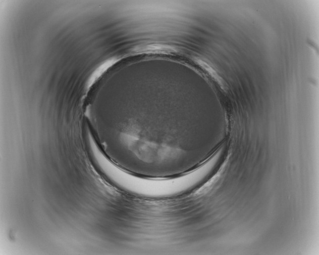 X0000099381066200805081441