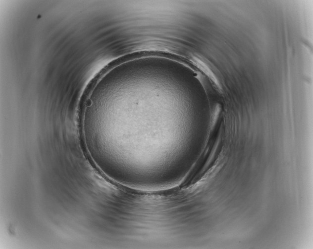 X0000099381068200805081441