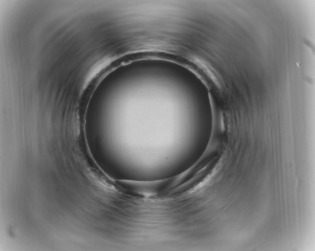 X0000099381069200805081441