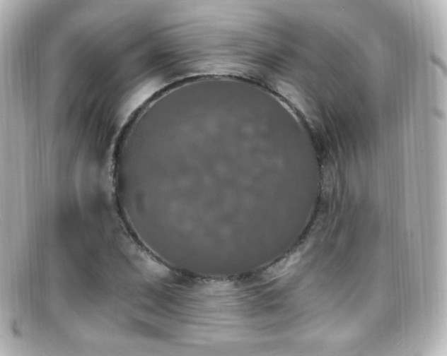 X0000099381071200805081441