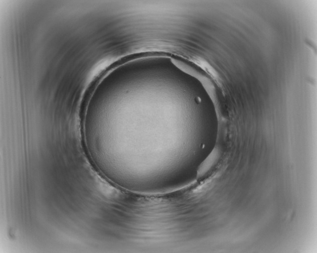 X0000099381072200805081441